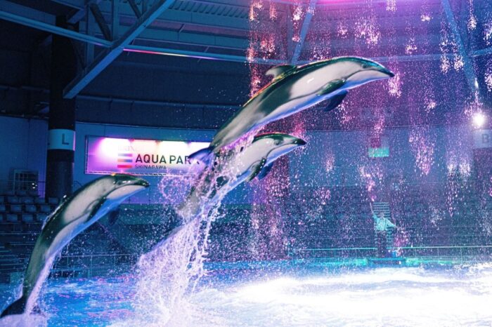 Copyright Shinagawa Prince Hotel Tokyo