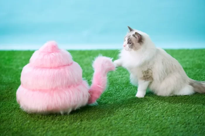 Copyright Unko Museum