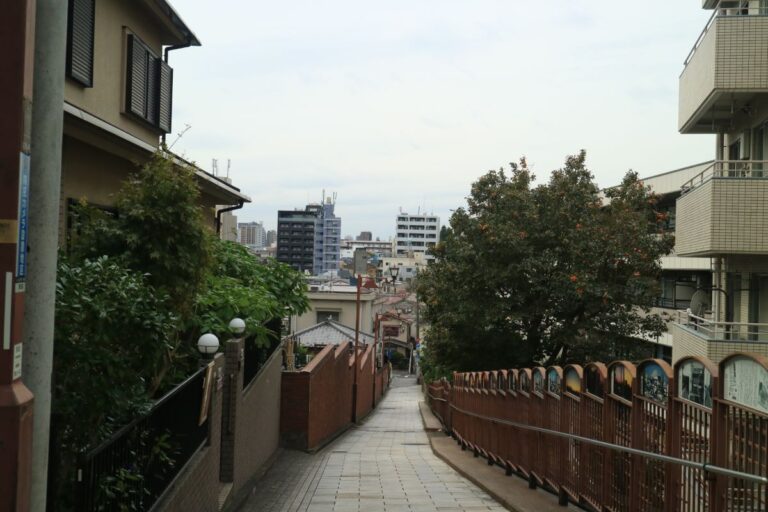 Fujimizaka Yanaka Arakawa