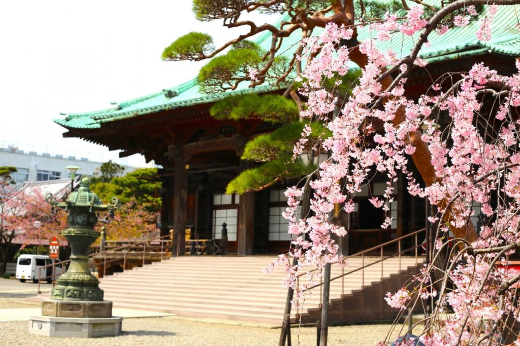 Gokokuji Temple Bunkyo Tokyo