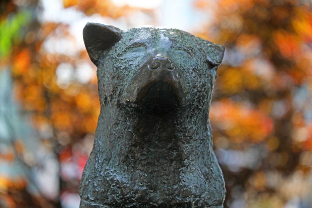 Hachiko Statue Shibuya
