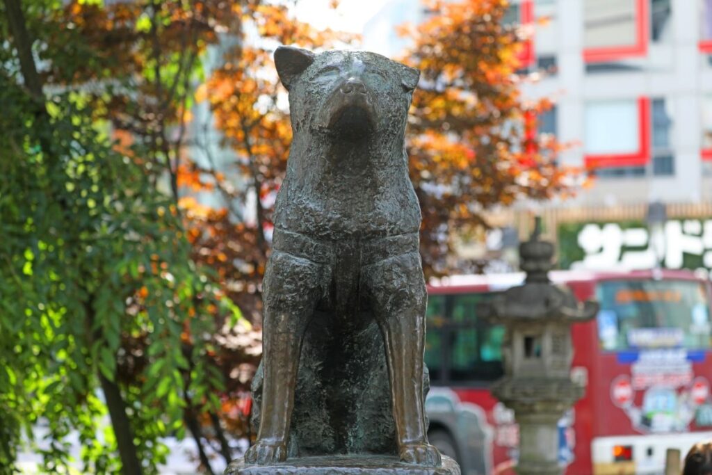 Hachiko Statue Shibuya