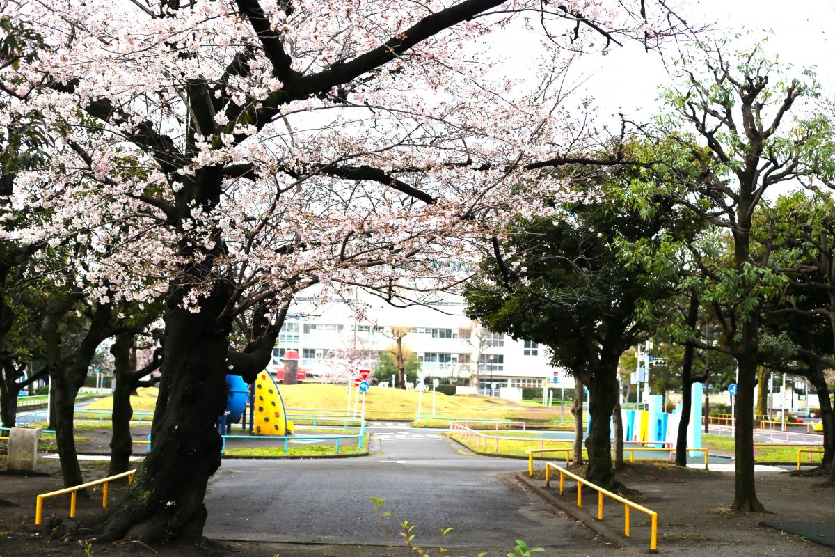 Haginaka Park Ota City Tokyo