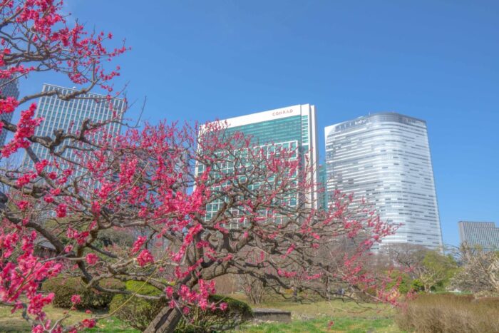 Hamarikyu Gardens Shiodame