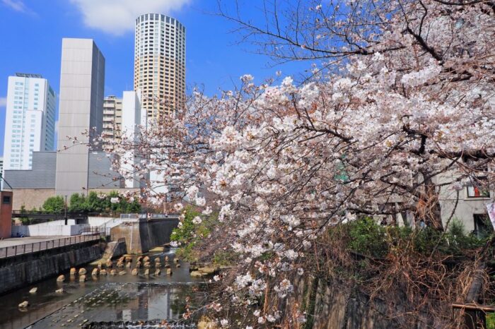 Hibiya Line Tokyo Metro