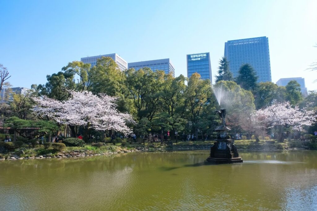 Hibiya Park Cherry Blossom