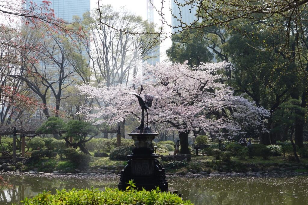 Hibiya Park Cherry Blossom