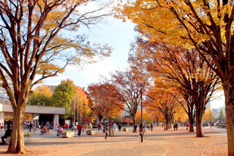 Hikarigaoka Park Nerima