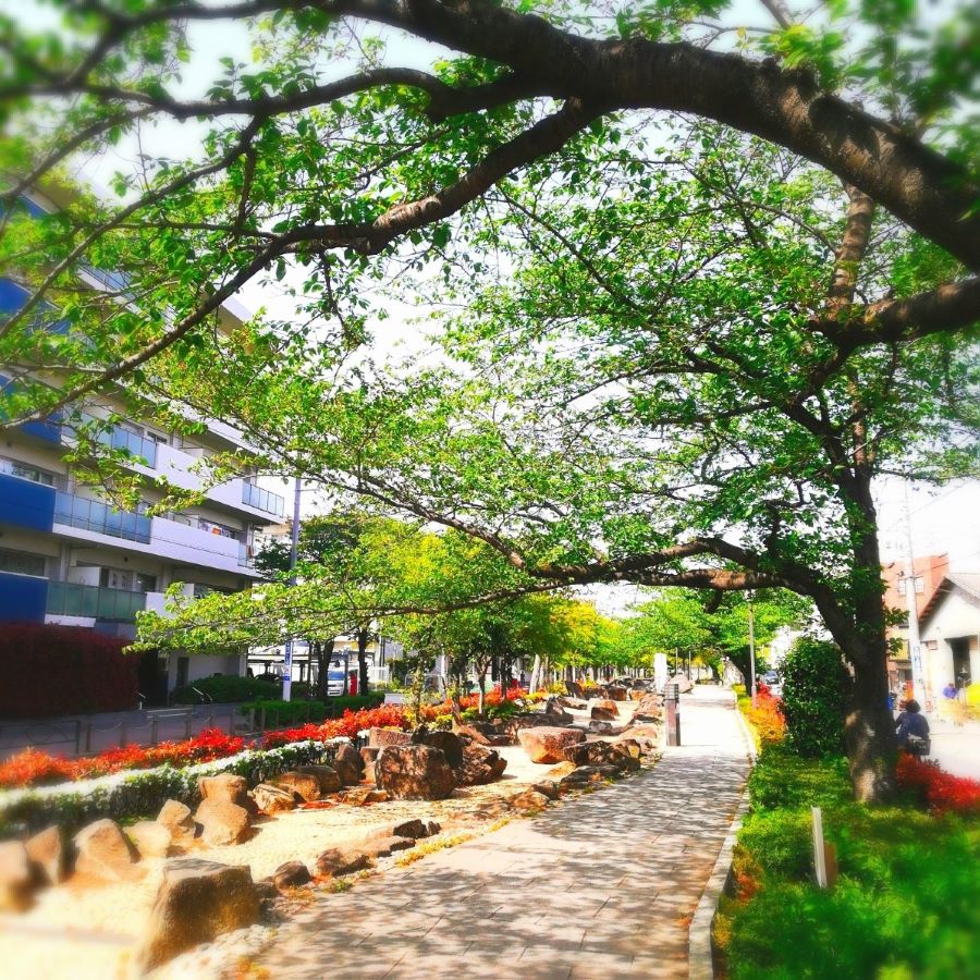 Hikifunegawa Water Park Kameari Katsushika Tokyo