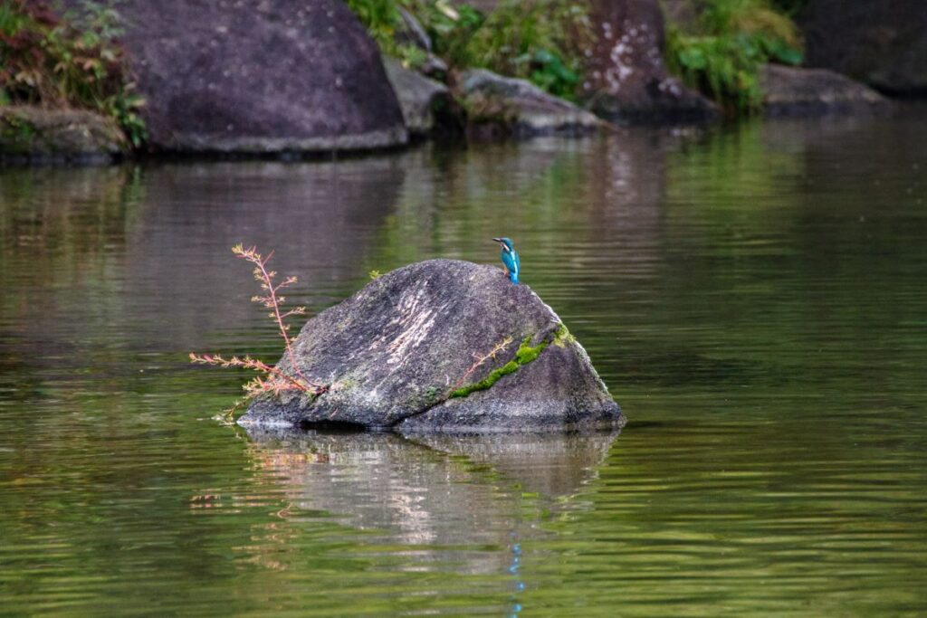 Hinokicho Park Tokyo Midtown Minato