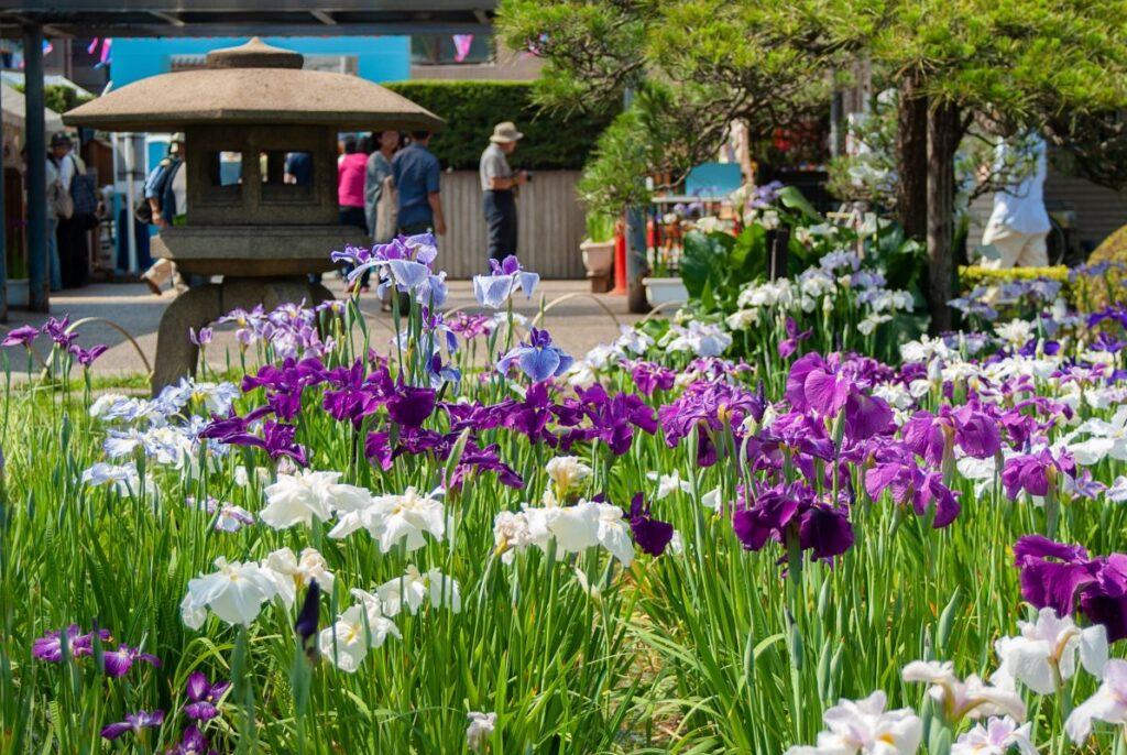Horikiri Shobuen Iris Garden