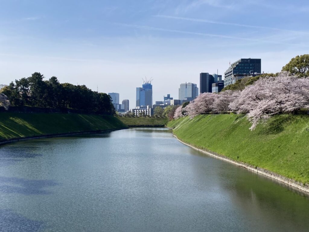 Imperial Palace East Gardens Cherry Blossom