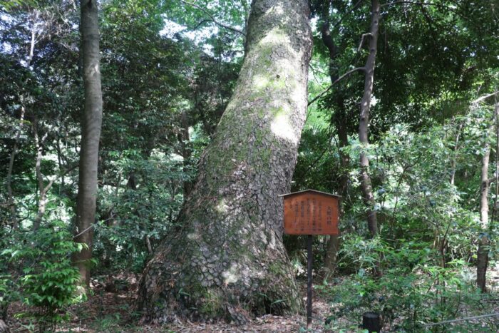 Institute for Nature Study