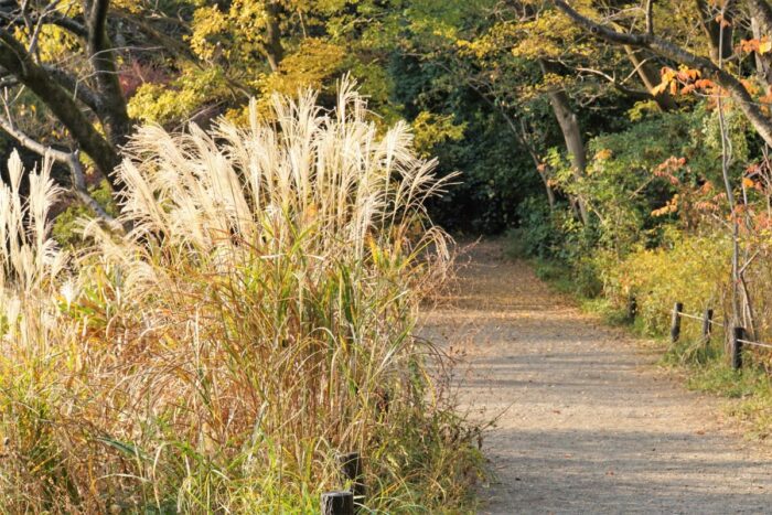 Institute for Nature Study