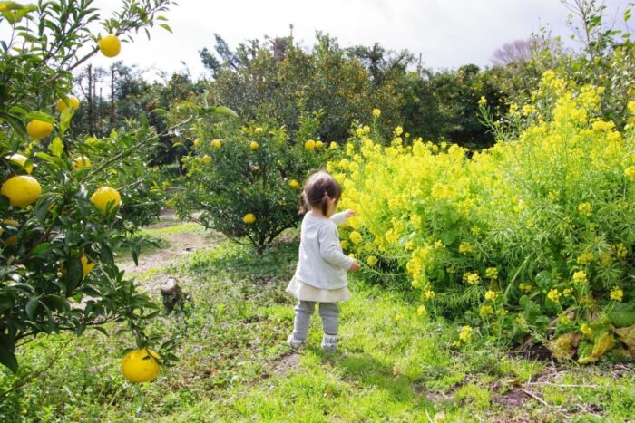Institute for Nature Study