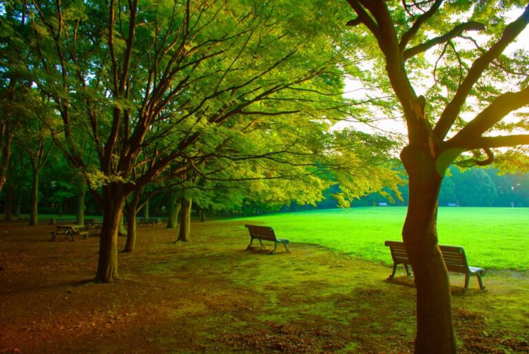 Jindai Botanical Gardens (1)