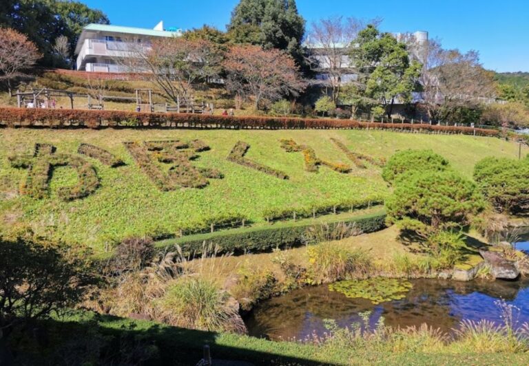 Kaboku en Park Ome City