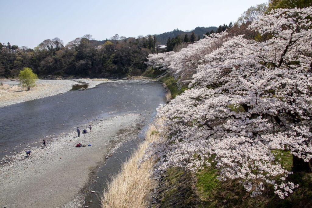 Kamanofuchi Park Ome Tokyo