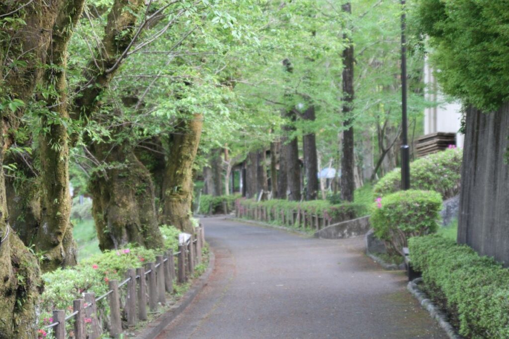 Kamanofuchi Park Ome Tokyo