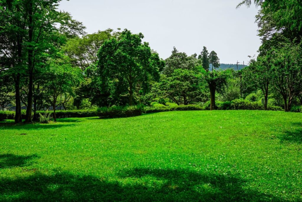 Kamanofuchi Park Ome Tokyo