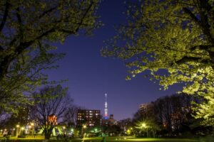 Kameido Central Park Koto
