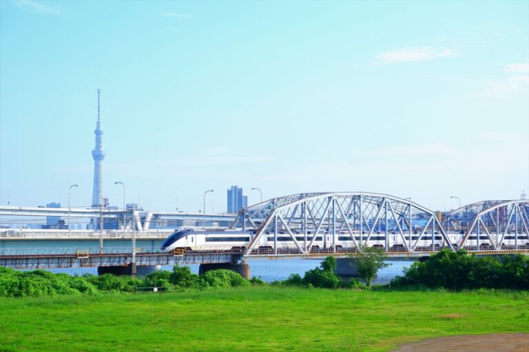 Skyliner Narita Airport Express With Tokyo Subway Ticket