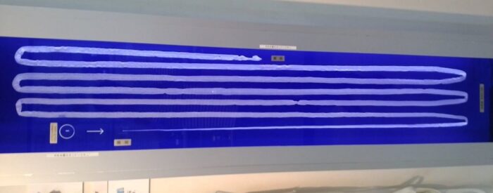 Meguro Parasitological Museum