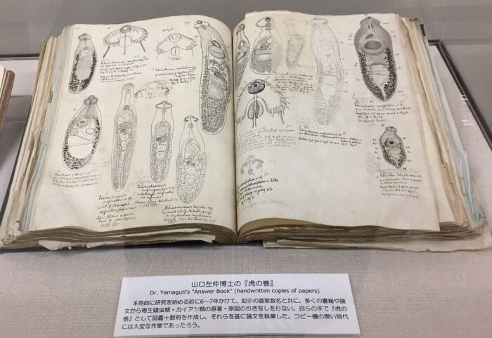 Meguro Parasitological Museum