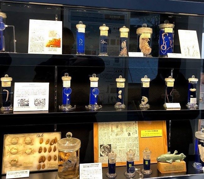 Meguro Parasitological Museum