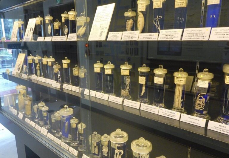Meguro Parasitological Museum