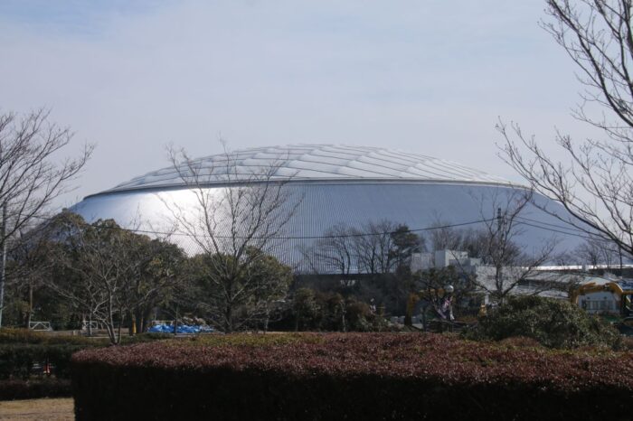 Metlife Dome