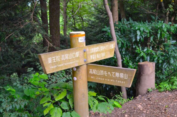 Mount Takao Pass