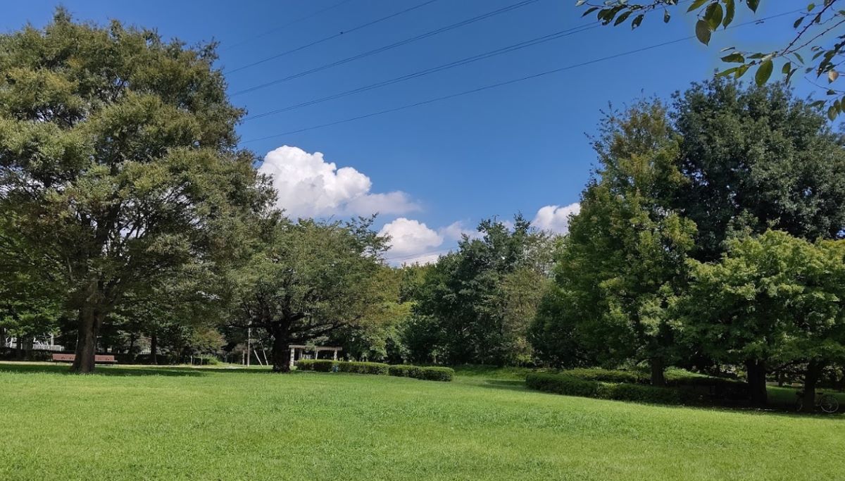 Musashino Park