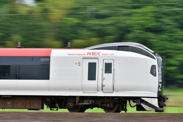Narita Express