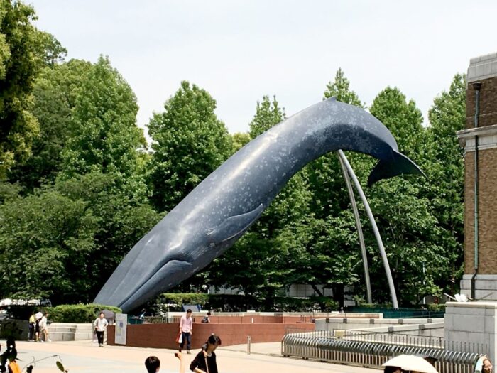 National Museum of Nature and Science