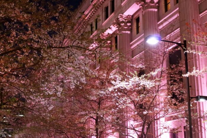 Nihonbashi Sakura Dori