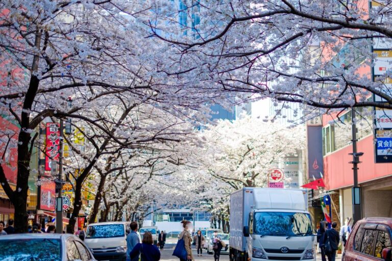 Nihonbashi Sakura Dori