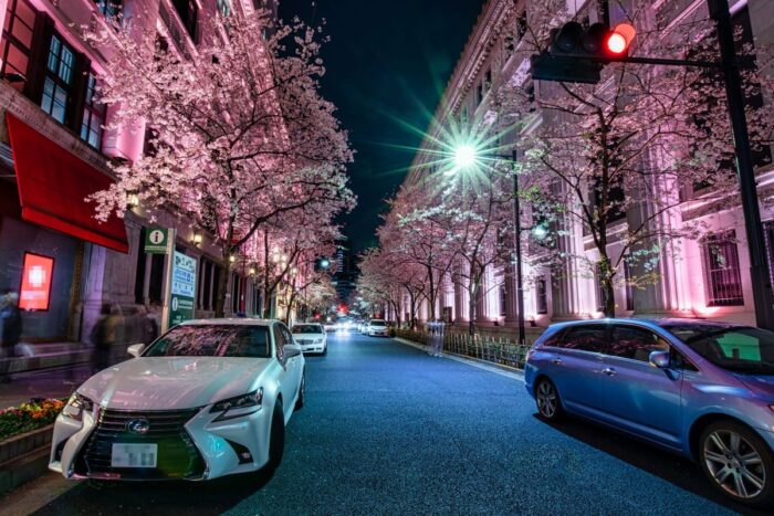 Nihonbashi Sakura Dori
