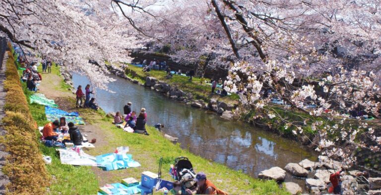 Nogawa Park Chofu Tokyo