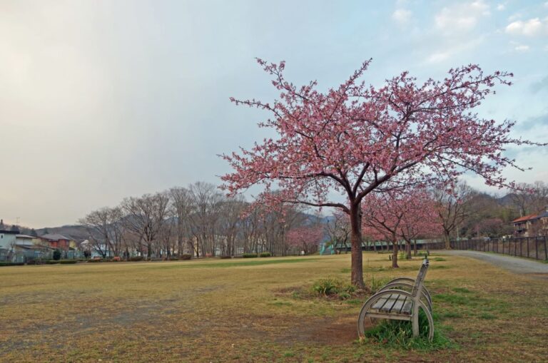 Odano Central Park Hachioji