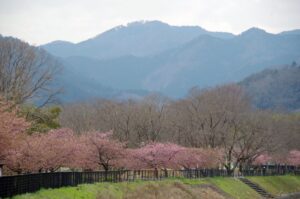 Odano Central Park Hachioji