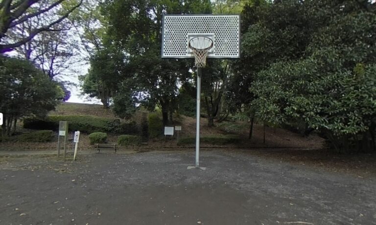 Renkoji Park Basketball Ring