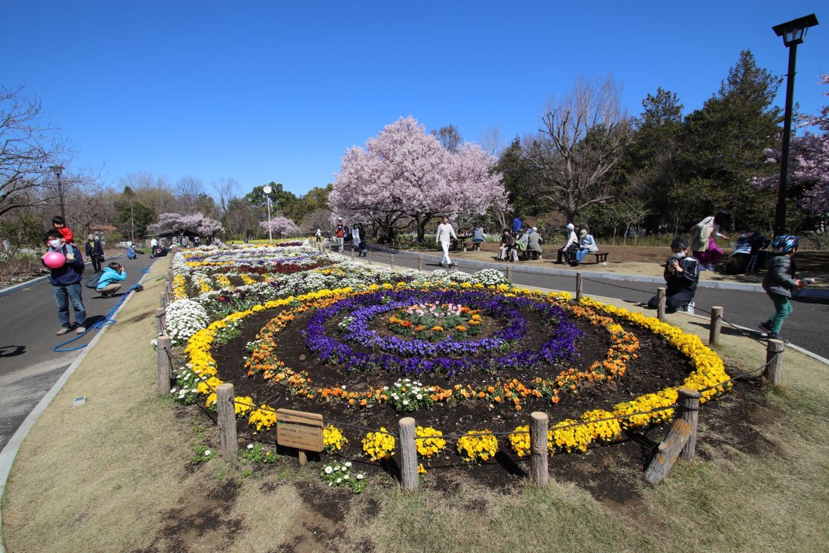 Roka Koshun en Gardens Setagaya Tokyo