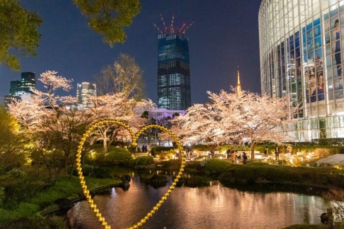 Roppongi Hills Mori Garden Cherry Blossom Sakura