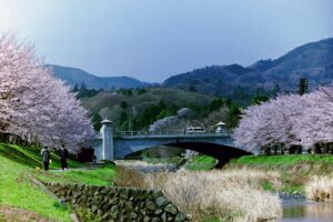 Ryonan Park Hachioji