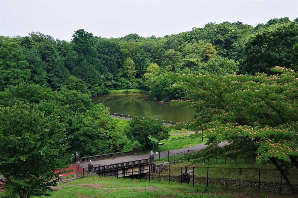 Sayama Park Tama Tokyo