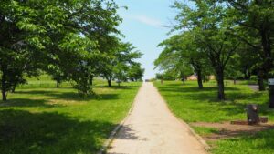 Sayama Park Tama Tokyo