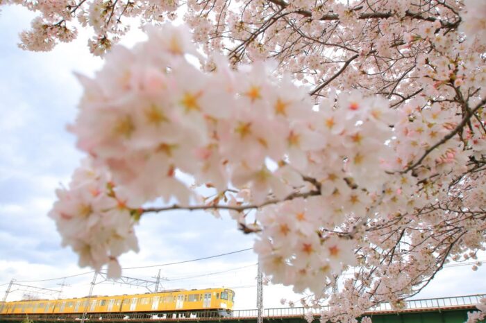 Seibu Ikebukuro Line