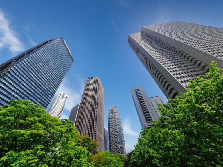 Shinjuku Sky Scraper Views