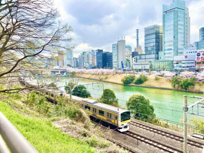 Sotobori Ichigaya Cherry Blossom Chiyoda